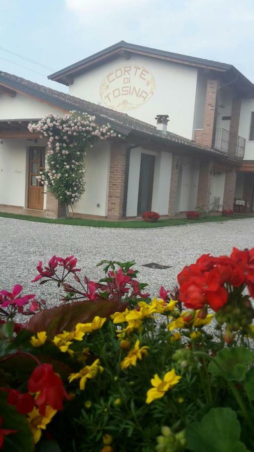 Corte Di Tosina Monzambano Luaran gambar